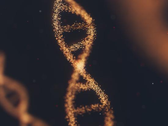 DNA-reparatiecomplex