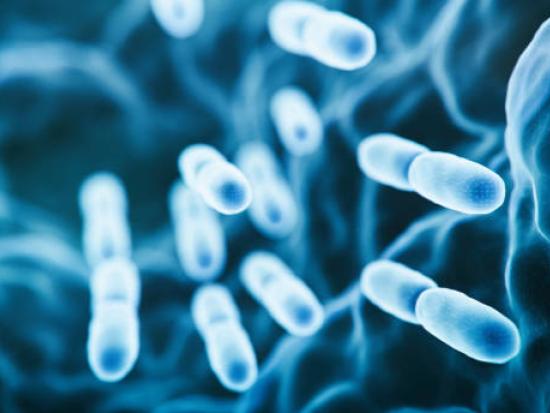 Probiotische fermentatie