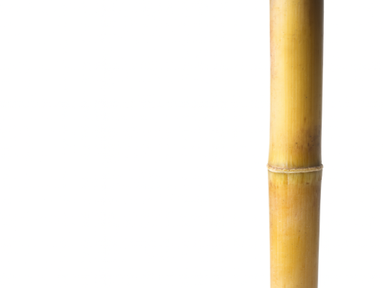 Alfa-Glucan Prebiotic